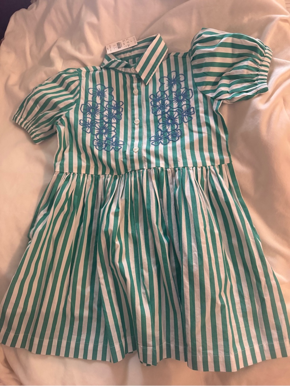 J. Crew Green and White Striped Shirt Dress with Blue Embroidery